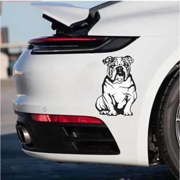 Serious Bulldog | Car decal